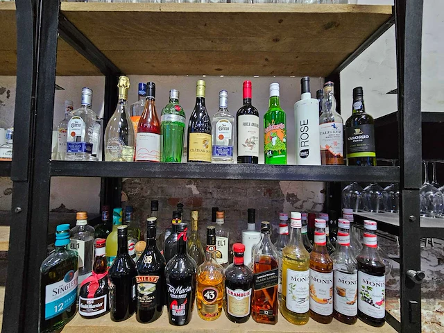 Baileys, tia maria, johny walker, etc. - flessen drank (44x) - afbeelding 1 van  5