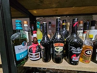 Baileys, tia maria, johny walker, etc. - flessen drank (44x) - afbeelding 4 van  5
