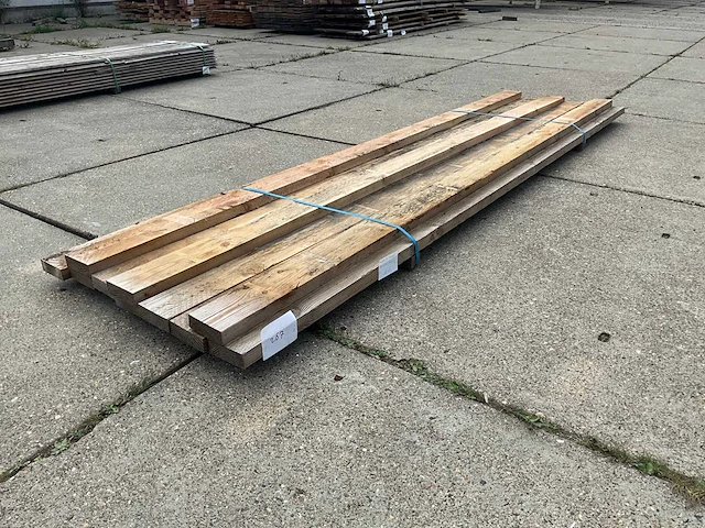 Balkfijn bezaagd douglas (10x) - afbeelding 1 van  6