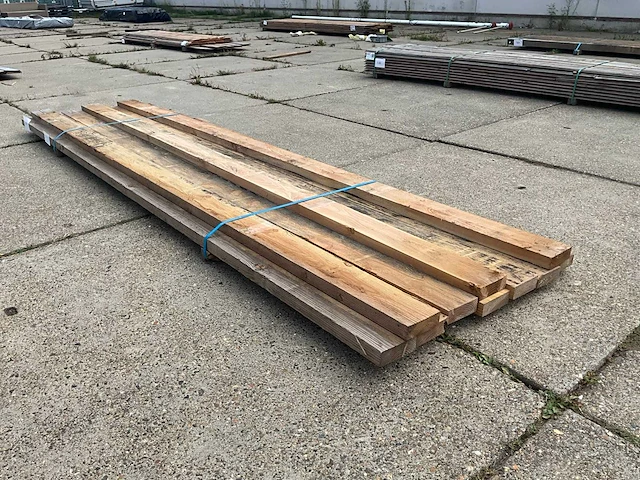 Balkfijn bezaagd douglas (10x) - afbeelding 2 van  6