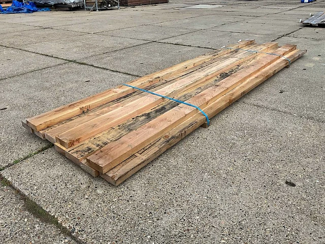 Balkfijn bezaagd douglas (10x) - afbeelding 3 van  6