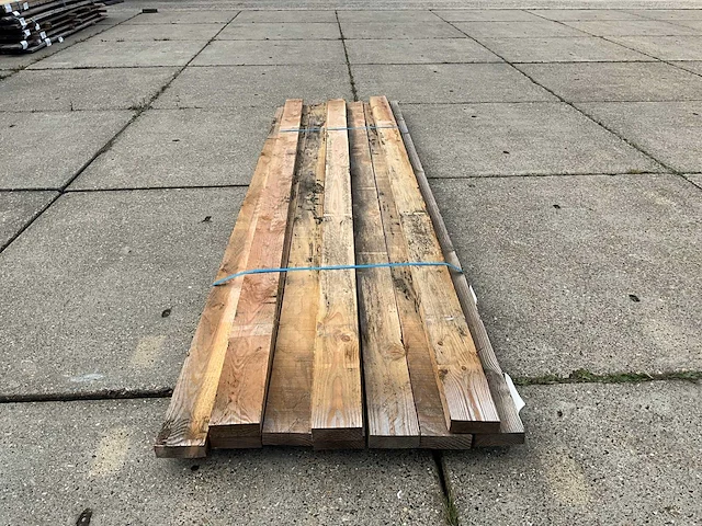 Balkfijn bezaagd douglas (10x) - afbeelding 5 van  6