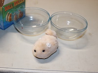 Ball roller met muis erin 8 stuks - afbeelding 3 van  5