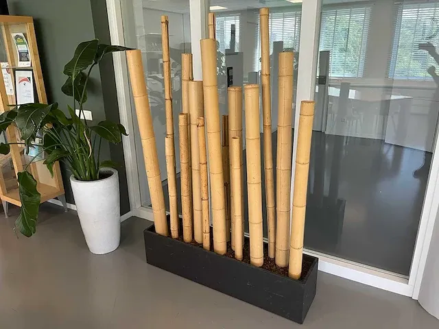 Bamboe design kamerverdeler h180 - afbeelding 10 van  12