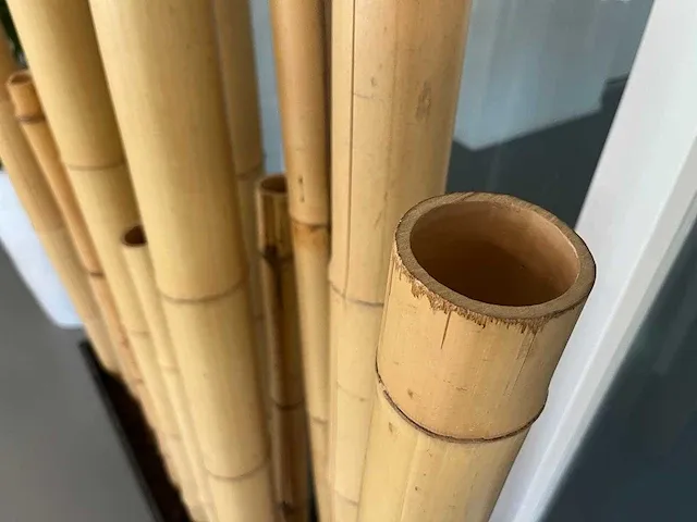 Bamboe design kamerverdeler h180 - afbeelding 12 van  12