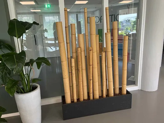 Bamboe design kamerverdeler h180 - afbeelding 9 van  12
