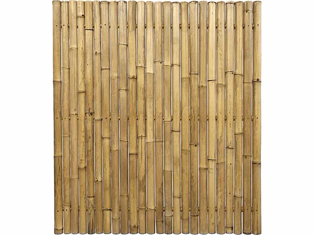 Bamboo - schutting giant naturel - tali - 900x1000 mm (45 m2) = 1 pallet - lattenscherm (50x) - afbeelding 5 van  10