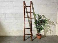 Bamboo ladder 250 cm - afbeelding 1 van  4