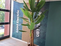 Bananenplant - ca. 250 hoog - kunststof - afbeelding 1 van  3