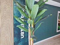 Bananenplant - ca. 250 hoog - kunststof - afbeelding 2 van  3