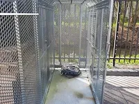 Bandenkooi cormach - afbeelding 4 van  6