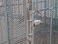 Bandenkooi, cormach - afbeelding 5 van  9