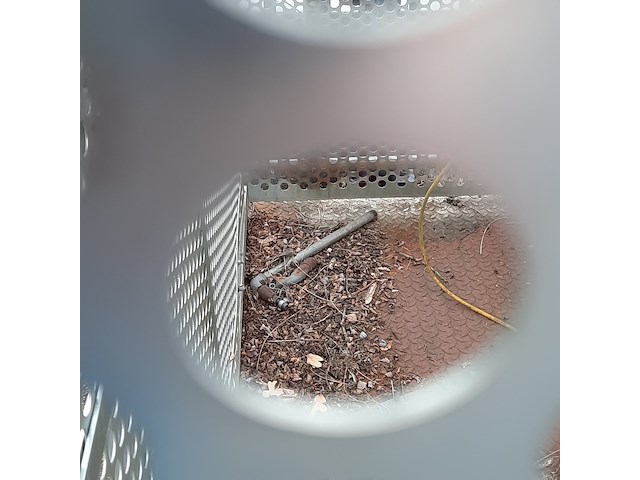 Bandenkooi, cormach - afbeelding 8 van  9