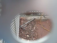 Bandenkooi, cormach - afbeelding 8 van  9