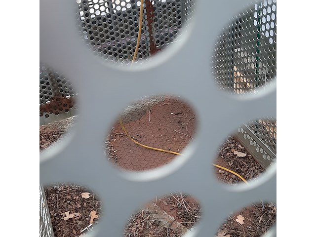 Bandenkooi, cormach - afbeelding 9 van  9