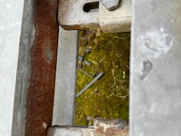 Banns - afbeelding 5 van  7