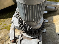 Banns - afbeelding 7 van  7