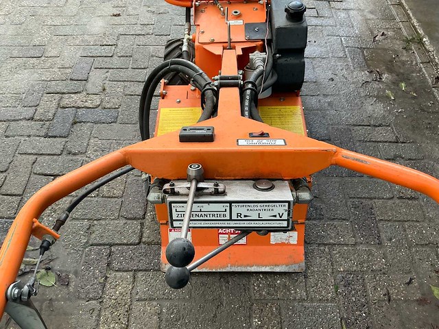 Barreto tuinfrees - afbeelding 2 van  18