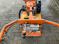 Barreto tuinfrees - afbeelding 2 van  18