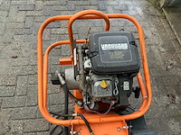 Barreto tuinfrees - afbeelding 3 van  18