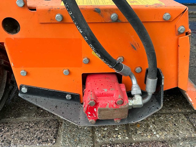 Barreto tuinfrees - afbeelding 4 van  18