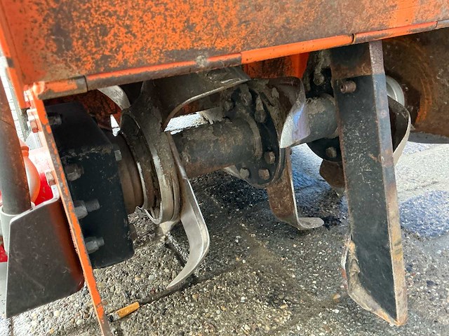 Barreto tuinfrees - afbeelding 5 van  18