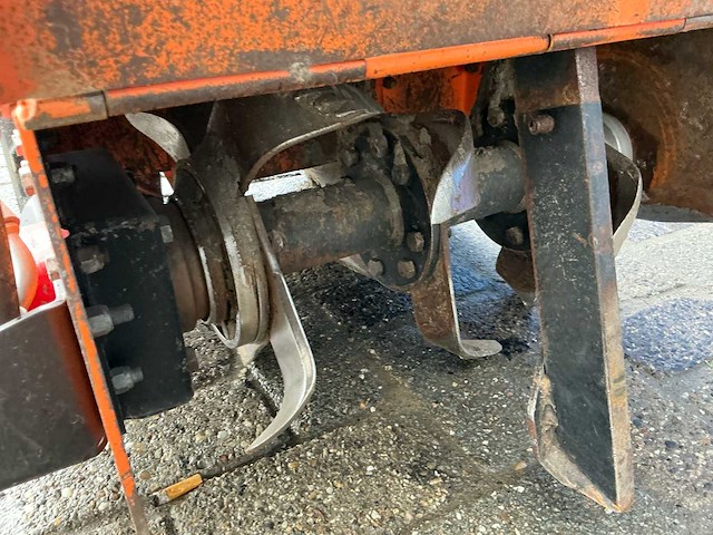 Barreto tuinfrees - afbeelding 6 van  18