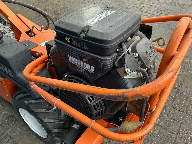 Barreto tuinfrees - afbeelding 7 van  18