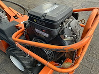 Barreto tuinfrees - afbeelding 7 van  18