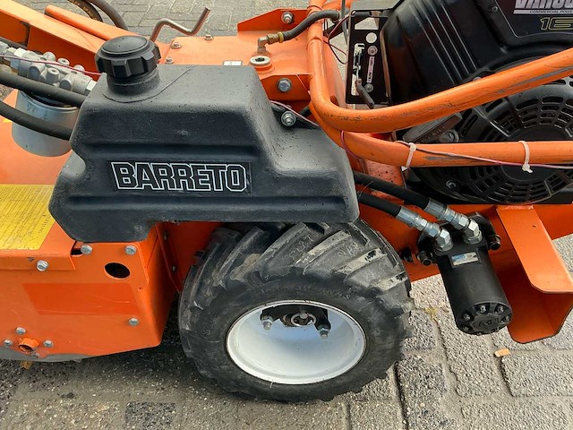 Barreto tuinfrees - afbeelding 8 van  18