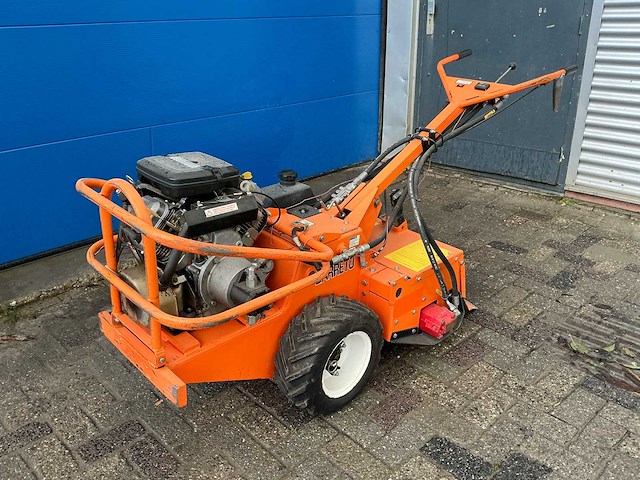 Barreto tuinfrees - afbeelding 1 van  18