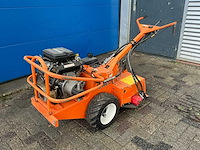 Barreto tuinfrees - afbeelding 1 van  18