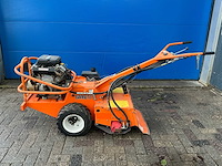 Barreto tuinfrees - afbeelding 11 van  18