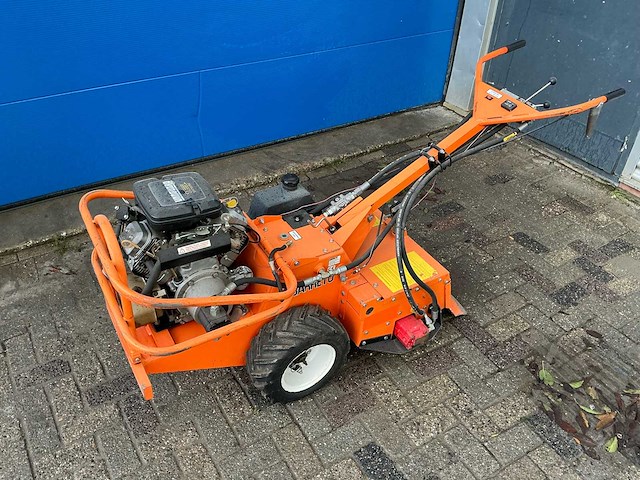 Barreto tuinfrees - afbeelding 12 van  18