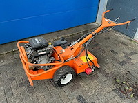 Barreto tuinfrees - afbeelding 12 van  18