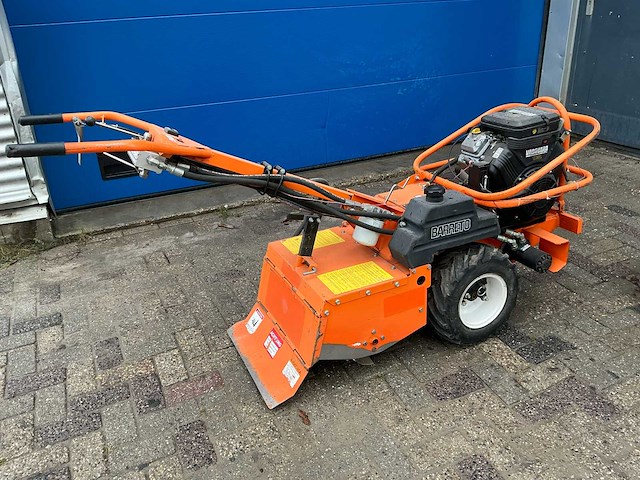 Barreto tuinfrees - afbeelding 13 van  18