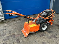 Barreto tuinfrees - afbeelding 13 van  18