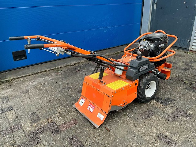 Barreto tuinfrees - afbeelding 14 van  18