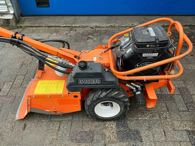Barreto tuinfrees - afbeelding 15 van  18