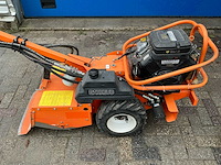 Barreto tuinfrees - afbeelding 15 van  18