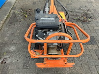 Barreto tuinfrees - afbeelding 16 van  18