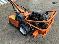 Barreto tuinfrees - afbeelding 17 van  18