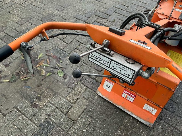 Barreto tuinfrees - afbeelding 18 van  18