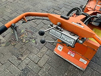 Barreto tuinfrees - afbeelding 18 van  18