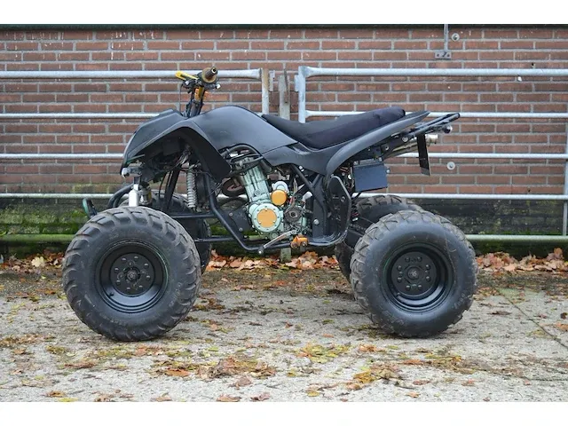 Bashan atv200s-7 | 64-xh-br | nl kenteken | 2007 | - afbeelding 1 van  20