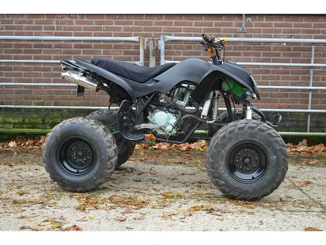 Bashan atv200s-7 | 64-xh-br | nl kenteken | 2007 | - afbeelding 13 van  20
