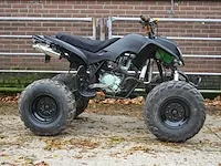 Bashan atv200s-7 | 64-xh-br | nl kenteken | 2007 | - afbeelding 13 van  20
