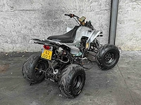 Bashan quad 200cc 2009 14pk atv200s-7, 62-jdd-5 - afbeelding 3 van  19