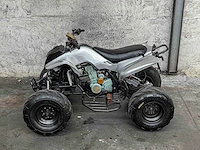 Bashan quad 200cc 2009 14pk atv200s-7, 62-jdd-5 - afbeelding 8 van  19