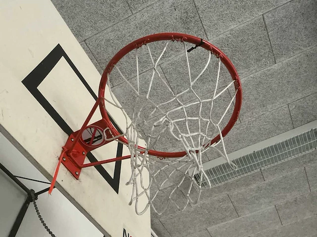 Basketbal bord (2x) - afbeelding 7 van  12